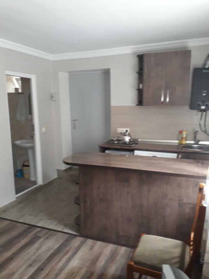 Appartement Apartament Sofia à Bordjomi Extérieur photo
